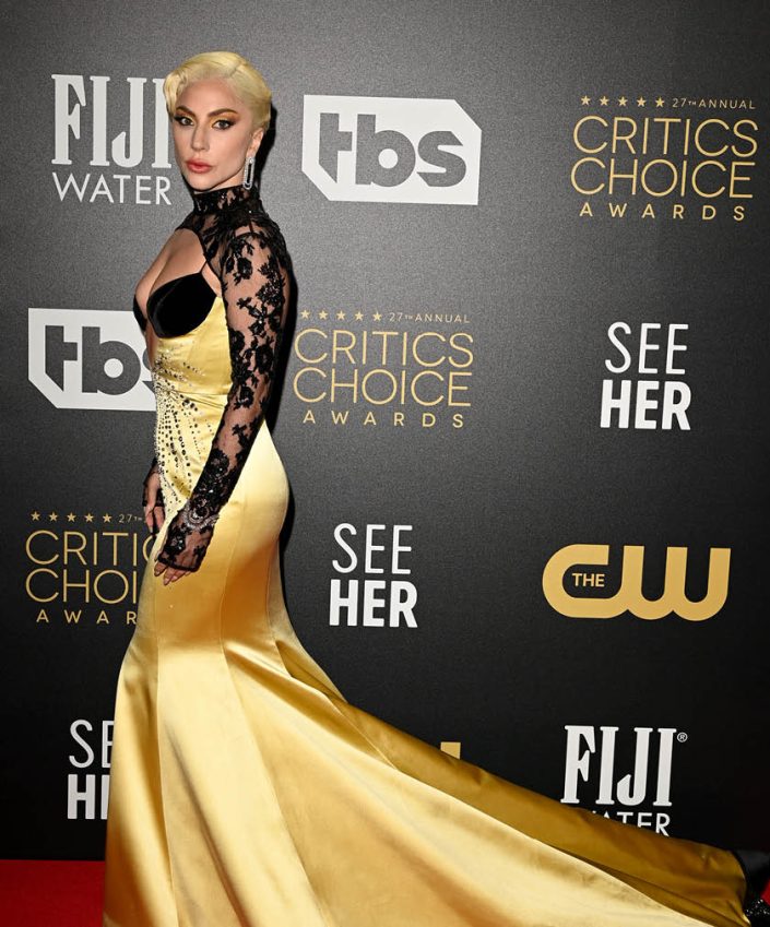 celebrating-excellence-insights-into-the-30th-annual-critics-choice-awards