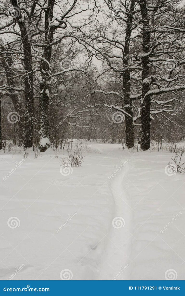 winter-storm-disrupts-super-bowl-festivities-across-the-north